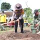 Tanam Ribuan Pohon di Donomulyo, Polres Malang Perkuat Mitigasi Bencana Bersama Perhutani
