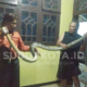 Malam Mencekam di Bunulrejo, Ular 3 Meter Ditemukan di Kandang Ayam
