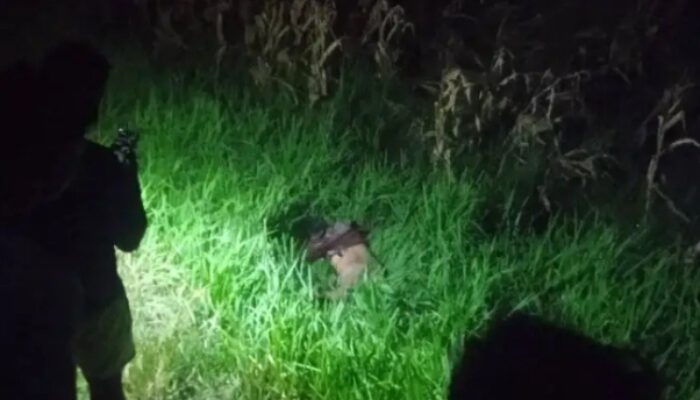 Terserempet Kereta Api Turangga, Pria Asal Jombang Tewas