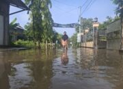 BPBD Jombang Catat 61 Kejadian Banjir Akibat Cuaca Ekstrem di Sepanjang 2025