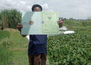 Kolam IPAL Industri Tahu Sementara di Jombang Tidak Berfungsi Maksimal dan Sempat Makan Korban