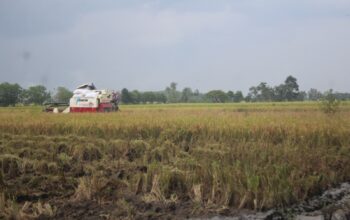 Pemprov Jatim Turun Tangan Terkait Hilangnya Bantuan Alsintan di Jombang