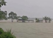 Intensitas hujan tinggi yang melanda sejumlah wilayah di Kabupaten Jombang, Jawa Timur, dalam beberapa hari terakhir menyebabkan ratusan hektare sawah terendam banjir.
