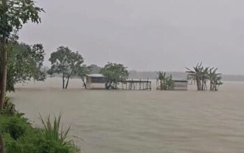Intensitas hujan tinggi yang melanda sejumlah wilayah di Kabupaten Jombang, Jawa Timur, dalam beberapa hari terakhir menyebabkan ratusan hektare sawah terendam banjir.