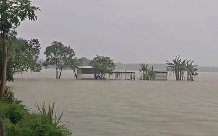 Intensitas hujan tinggi yang melanda sejumlah wilayah di Kabupaten Jombang, Jawa Timur, dalam beberapa hari terakhir menyebabkan ratusan hektare sawah terendam banjir.