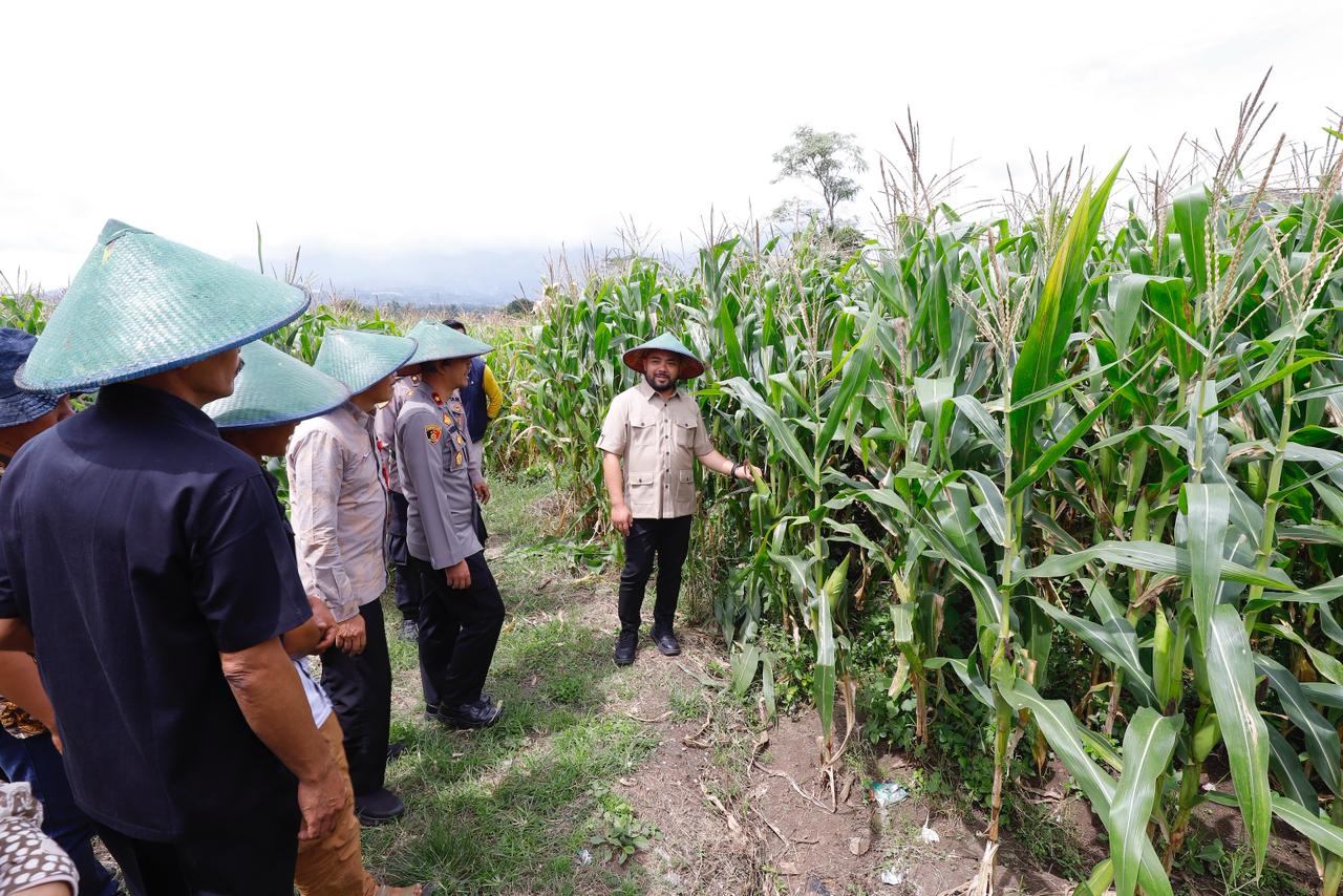 Pemkot Batu menegaskan komitmennya mendukung program Swasembada Pangan 2026 meski belum dapat melakukan panen jagung secara fisik. Hal itu ditunjukkan dengan keikutsertaan simbolis dalam Panen Raya Jagung Serentak Nasional Kuartal I yang digelar Kamis (8/1/2026) kemarin.