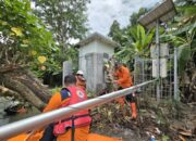 Tim Badan Penanggulangan Bencana Daerah (BPBD) Jawa Timur bergerak cepat memperbaiki Early Warning System (EWS) banjir di Desa Tapen, Kabupaten Jombang, yang mengalami kerusakan akibat terjangan material pohon dan bambu yang terbawa arus Sungai Marmoyo.