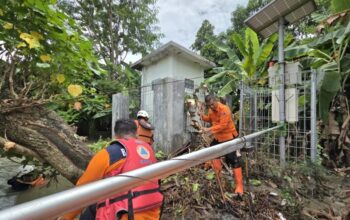Tim Badan Penanggulangan Bencana Daerah (BPBD) Jawa Timur bergerak cepat memperbaiki Early Warning System (EWS) banjir di Desa Tapen, Kabupaten Jombang, yang mengalami kerusakan akibat terjangan material pohon dan bambu yang terbawa arus Sungai Marmoyo.