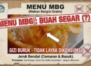 Diduga Kuat Sudah Busuk dan Berulat, Menu Buah Dapur MBG Yayasan Garuda Adidaya Sampang Tuai Sorotan