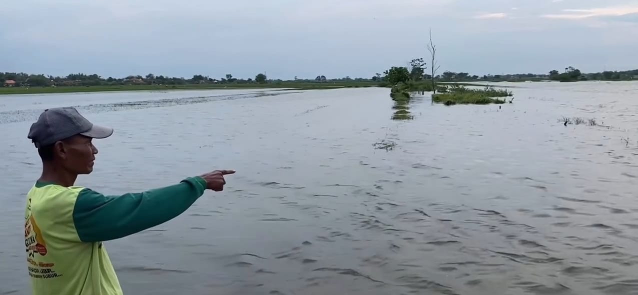 Sebanyak 130 hektare lahan pertanian di Kecamatan Ploso, Kabupaten Jombang, Jawa Timur, terdampak banjir luapan Kali Marmoyo.