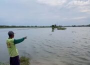 Banjir Tahunan di Ploso Jombang Kian Mengkhawatirkan, DPRD Desak Evaluasi Irigasi