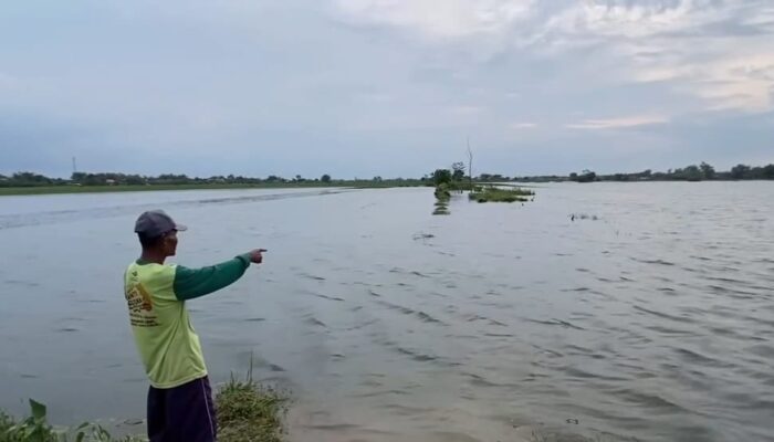 Banjir Tahunan di Ploso Jombang Kian Mengkhawatirkan, DPRD Desak Evaluasi Irigasi