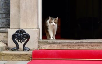 Presiden Prabowo "Disambut" Larry the Cat di Kantor PM Inggris