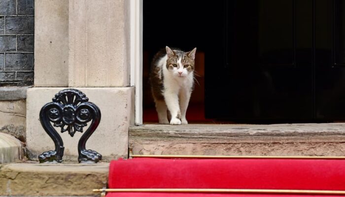 Presiden Prabowo “Disambut” Larry the Cat di Kantor PM Inggris