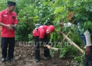 DPRD Kota Malang Tegaskan Penghijauan Soehat Wajib Jalan: Mahal Bukan Alasan Mundur