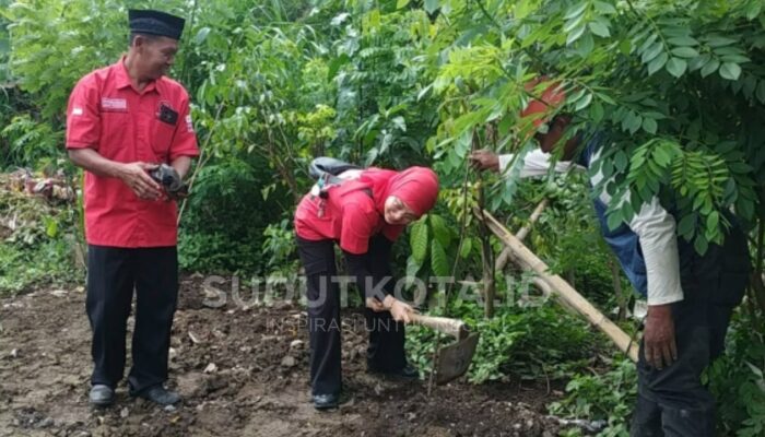 DPRD Kota Malang Tegaskan Penghijauan Soehat Wajib Jalan: Mahal Bukan Alasan Mundur