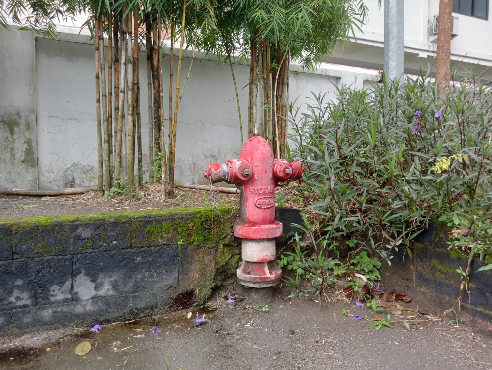 Pemerintah Kabupaten (Pemkab) Jombang, Jawa Timur mulai memperketat persyaratan pembangunan gedung dengan mewajibkan rekomendasi proteksi kebakaran dalam pengajuan Persetujuan Bangunan Gedung (PBG) maupun Sertifikat Laik Fungsi (SLF). Kebijakan ini resmi diterapkan sejak akhir Desember 2025.