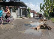 Protes Jalan Rusak, Warga Mojowarno Jombang Tanami Akses ke Makam dengan Pohon Pisang dan Singkong