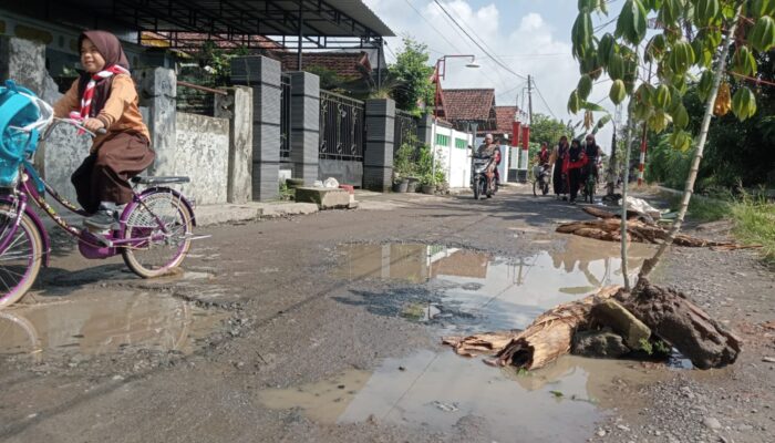 Protes Jalan Rusak, Warga Mojowarno Jombang Tanami Akses ke Makam dengan Pohon Pisang dan Singkong