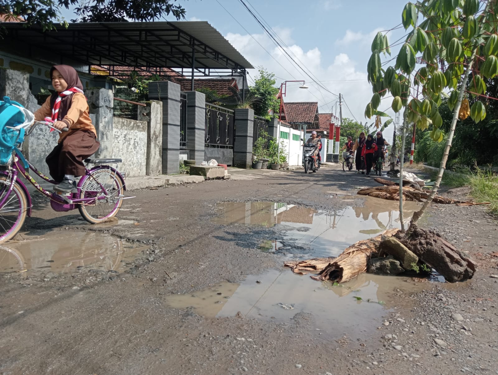 Protes Jalan Rusak, Warga Mojowarno Jombang Tanami Akses ke Makam dengan Pohon Pisang dan Singkong