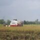 Disperta Pastikan Combine Harvester Bantuan di Sumbersari Jombang Raib