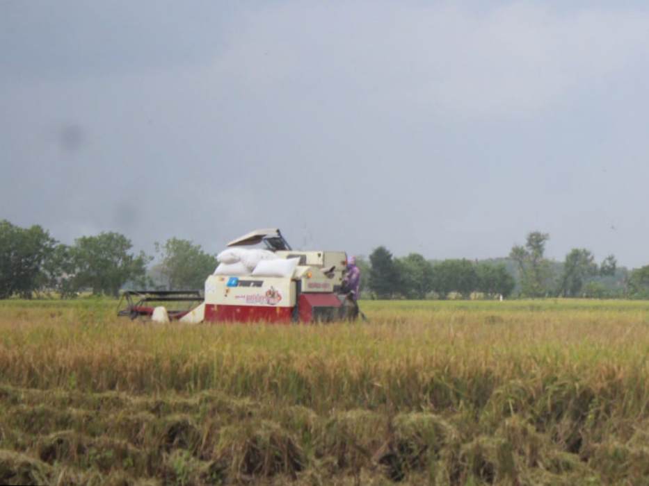 Disperta Pastikan Combine Harvester Bantuan di Sumbersari Jombang Raib