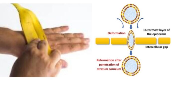 Manfaat Transfersom Kulit Pisang Kepok untuk Kesehatan Kulit