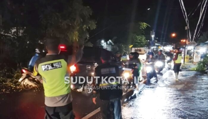 Pohon Tumbang Tutup Jalur Malang–Kediri, Arus Lalu Lintas Sempat Lumpuh di Pujon