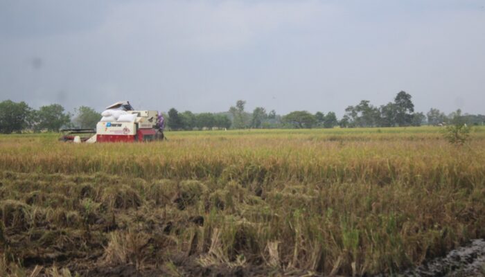 DPRD Jombang Desak Combine Harvester yang Hilang di Sumbersari Megaluh Dikembalikan