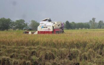 Hilangnya Combine Harvester Bantuan DPRD Jatim di Jombang Diselidiki Polisi, Inspektorat Turun Tangan