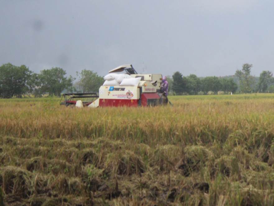 Hilangnya Combine Harvester Bantuan DPRD Jatim di Jombang Diselidiki Polisi, Inspektorat Turun Tangan