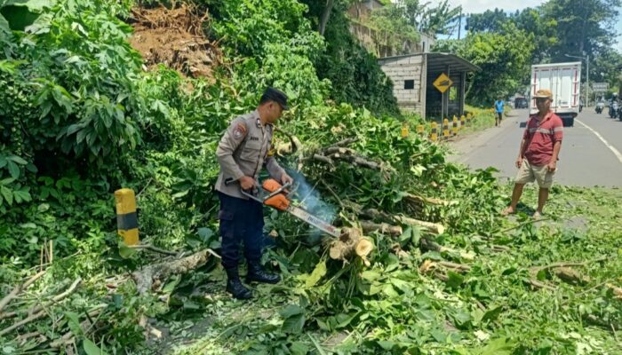 Laporan Warga ke 110 Berbuah Respons Cepat Polisi Evakuasi Pohon Tumbang di Pakisaji