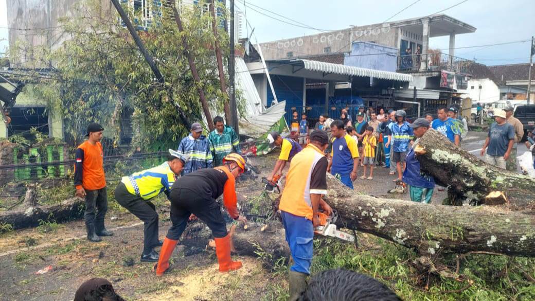 Hujan Deras Disertai Angin Kencang, Pohon Asem Tumbang Tutup Jalan Raya Sumberpasir Pakis