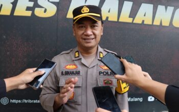 Aksi pencurian hasil kebun kembali menghantui para petani jeruk di Kecamatan Poncokusumo, Kabupaten Malang, tepat saat musim panen berlangsung, hingga akhirnya dua pelaku berhasil diamankan aparat kepolisian.