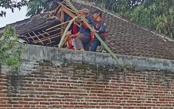 Batu Siaga! Hujan Deras Picu Atap Ambruk dan Pohon Tutup Jalan, Ini Kronologinya