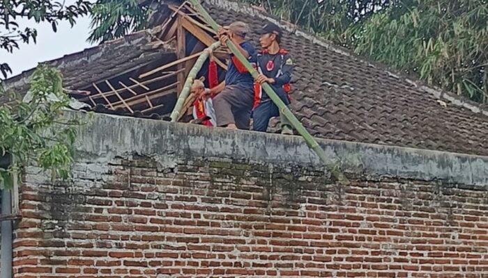 Batu Siaga! Hujan Deras Picu Atap Ambruk dan Pohon Tutup Jalan, Ini Kronologinya