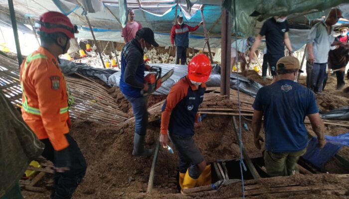 Korban Bertambah, Kandang Ayam Ambruk di Wonosari Renggut Dua Nyawa