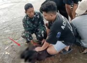 Seorang pria berinisial R (36), warga Desa Budug Sidorejo, Kecamatan Sumobito, Kabupaten Jombang, Jawa Timur diamankan petugas gabungan Polri, TNI, dan perangkat desa setelah dilaporkan membawa senjata tajam (sajam) dan meresahkan warga.