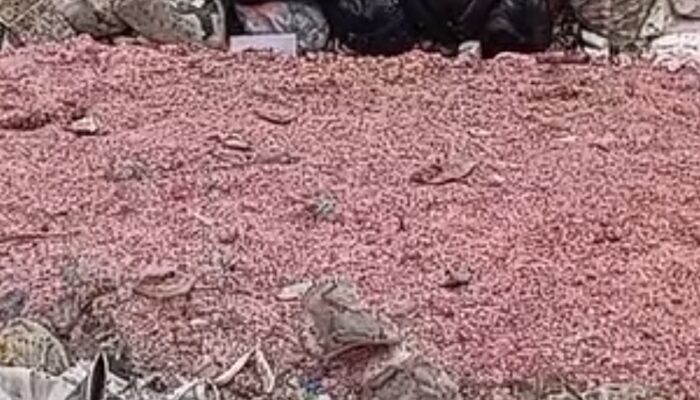 Heboh! Cacahan Uang Asli Ditemukan di TPS Liar Bekasi, Ini Kata DLH