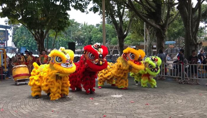 Semarak Imlek, Hawai Waterpark Hadirkan Barongsai dan Banjir Promo Tiket