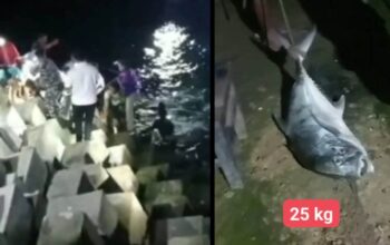 Ditarik Ikan 25 Kg hingga Tenggelam, Warga Ledok Blitar Tewas di Dermaga Pantai Tambakrejo