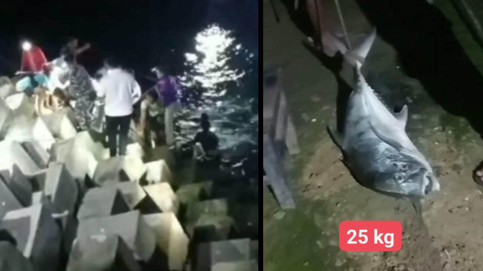 Ditarik Ikan 25 Kg hingga Tenggelam, Warga Ledok Blitar Tewas di Dermaga Pantai Tambakrejo