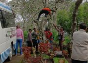 Geger di Pakis, Pria Ditemukan Meninggal di Bawah Pohon Kamboja TPU Saptorenggo