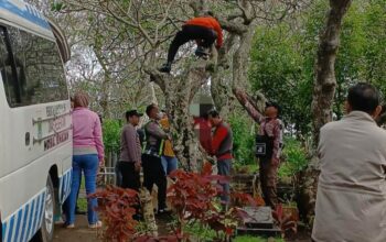Geger di Pakis, Pria Ditemukan Meninggal di Bawah Pohon Kamboja TPU Saptorenggo