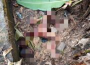 Geger di Ploso Jombang, Dua Jenazah Diduga Ibu dan Anak Ditemukan dengan Luka Terbakar