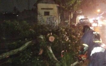 Jalur Ampeldento Lumpuh 3 Jam, Tiga Pengendara Jadi Korban Pohon Tumbang