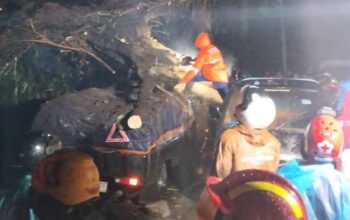 Hujan Lebat dan Angin Terjang Payung 2, Dua Mobil Tertimpa Pohon, Jalur Batu–Kediri Lumpuh Total