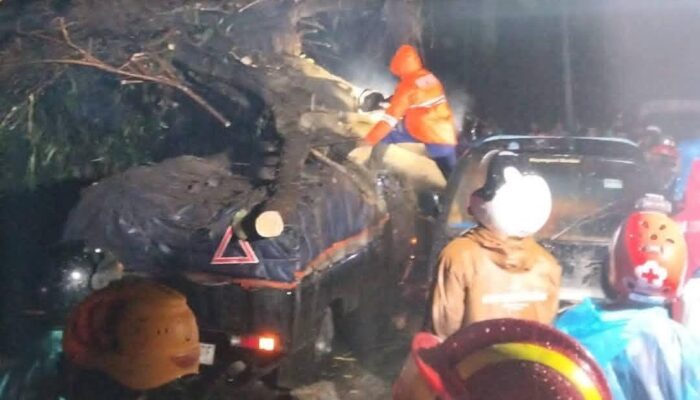 Hujan Lebat dan Angin Terjang Payung 2, Dua Mobil Tertimpa Pohon, Jalur Batu–Kediri Lumpuh Total