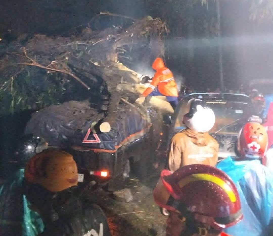 Hujan Lebat dan Angin Terjang Payung 2, Dua Mobil Tertimpa Pohon, Jalur Batu–Kediri Lumpuh Total