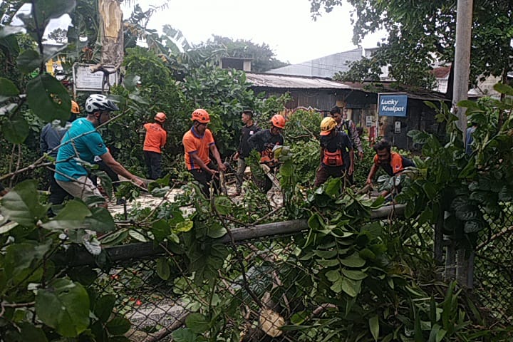 Pohon Kecrutan di Jalan Mahakam Kota Malang Tumbang Diterjang Angin